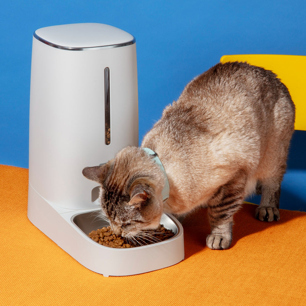 Pet Feeding & Watering