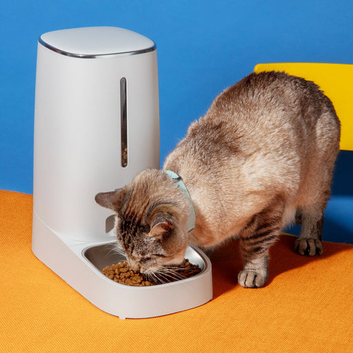 Pet Feeding & Watering