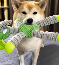 40d1af72f2324306a428f66c0e7be1c9-Max